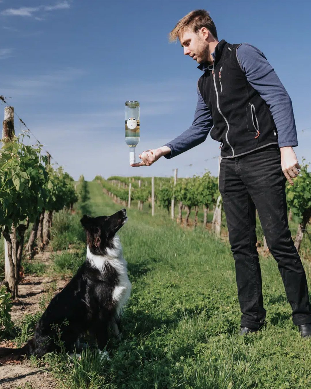 Winzer von Bordeaux Families mit seinem Hund