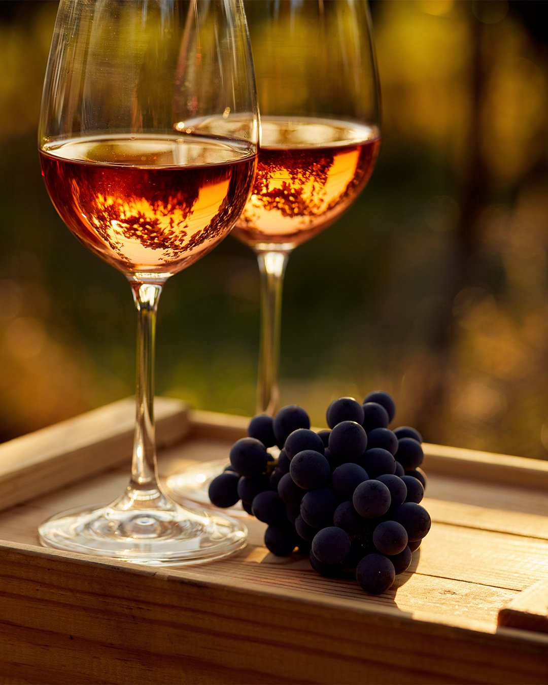 Zwei Gläser Rosé in der Abendsonne